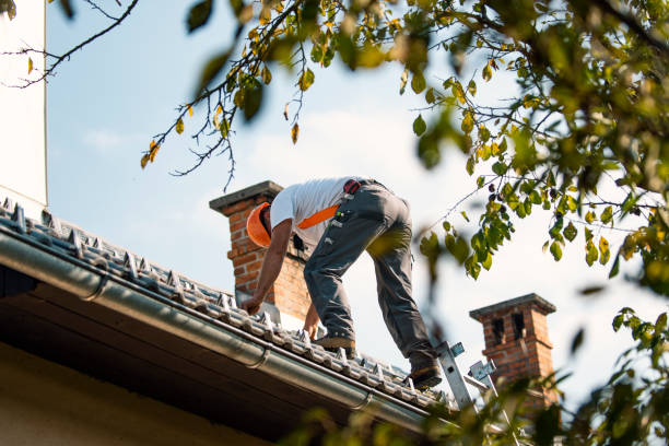 Best Best Roofing Contractors  in Springfield, MI