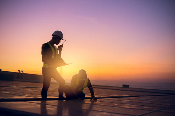 Best Flat Roof Repair Services  in Springfield, MI