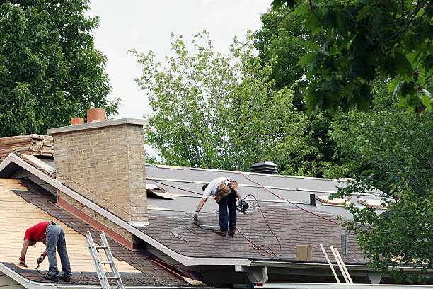 Best Roof Repair Estimates  in Springfield, MI