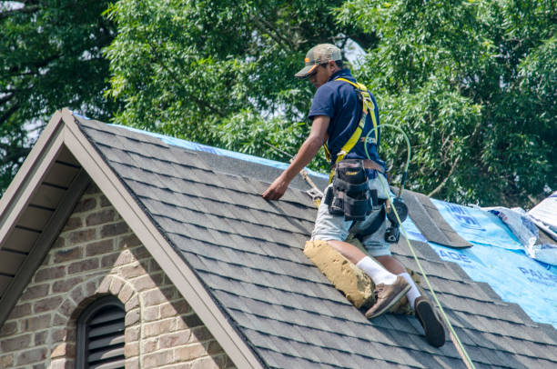 Best Local Roofing Companies  in Springfield, MI